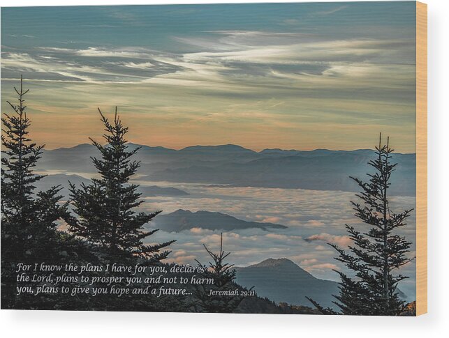 Great Smoky Mountains National Park Wood Print featuring the photograph A Brighter Day by Marcy Wielfaert