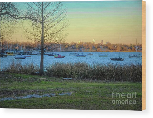 Diana Wood Print featuring the photograph A Cold Winter Sunrise by Diana Mary Sharpton