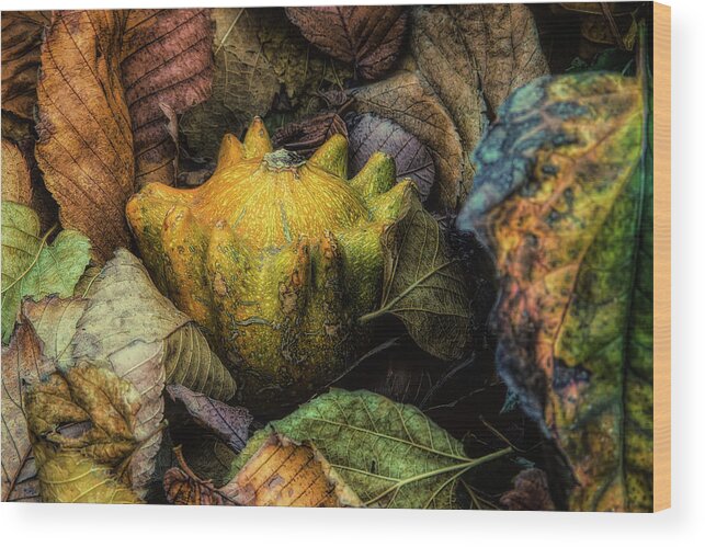 Autumn Wood Print featuring the photograph A Cozy Autumn by Steve Sullivan