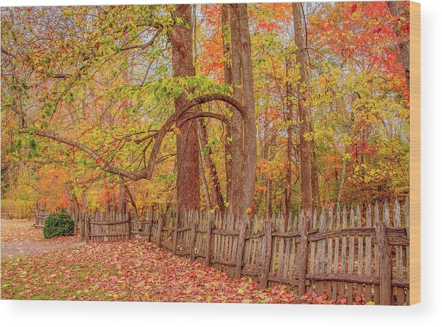 Oconaluftee Wood Print featuring the photograph A Crooked Old Fence in the Shadow of Fall by Marcy Wielfaert