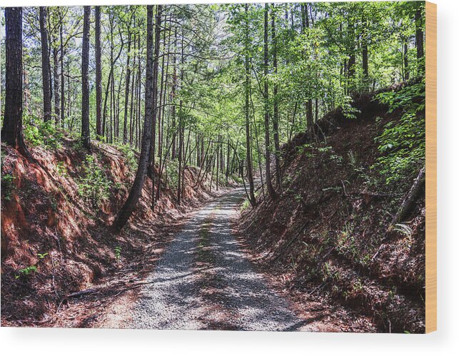 Piedmont National Wildlife Refuge Wood Print featuring the photograph A Deep Trench Gravel Road by Ed Williams