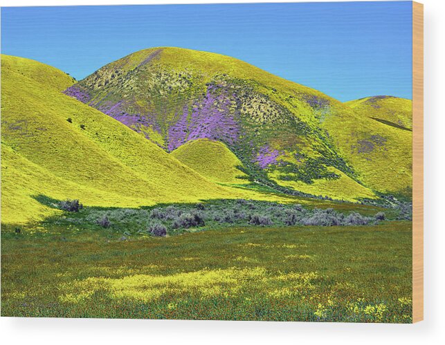 Countryside Wood Print featuring the photograph A Foretaste of Heavenly Gold by Brian Tada