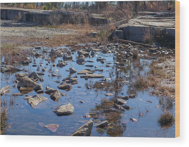 Arabia Mountain Wood Print featuring the photograph A Granite Rocks Pool by Ed Williams