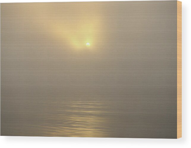 Lake Wood Print featuring the photograph A Lake Golden Sunrise by Ed Williams