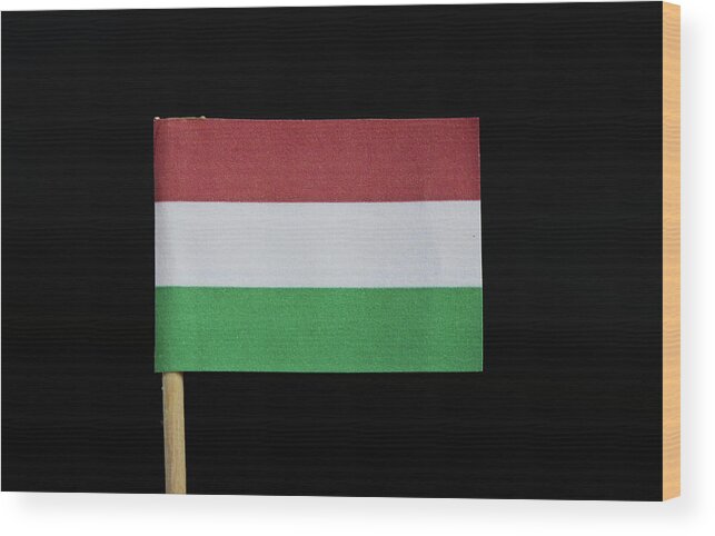 Hungary Wood Print featuring the photograph Flag of Hungary by Vaclav Sonnek
