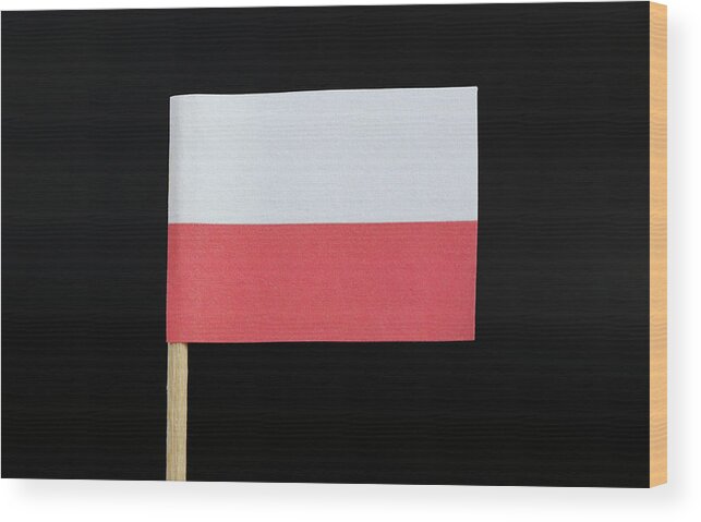 Poland Wood Print featuring the photograph Flag of Poland by Vaclav Sonnek