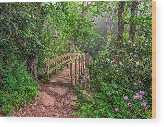 Oil Paint Rendered Wood Print featuring the photograph A Path Through Spring by Jim Dollar