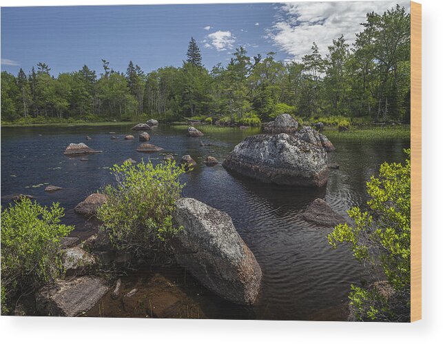 Late Spring Wood Print featuring the photograph A small rocky lake near Maple Lake by Irwin Barrett
