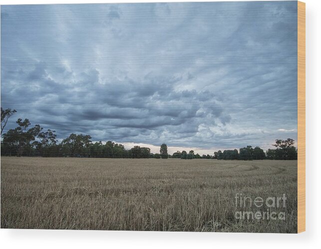 Farm Wood Print featuring the photograph A Summer Storm Brewing by Linda Lees