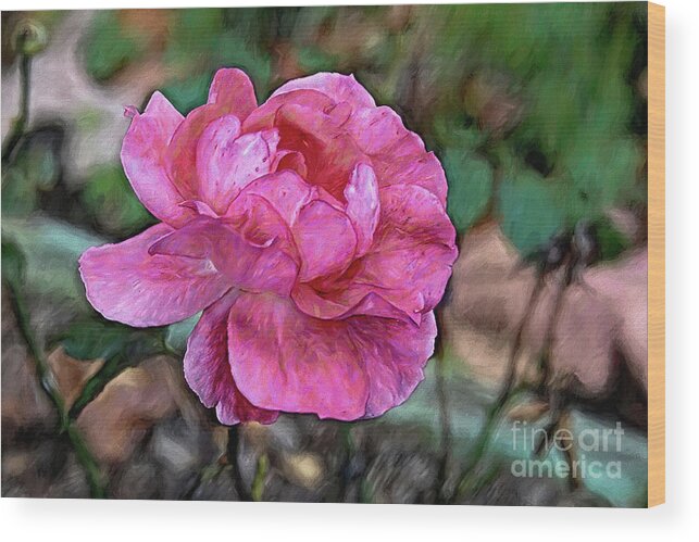 Coral Wood Print featuring the photograph A Touch of Class Tea Rose by Diana Mary Sharpton