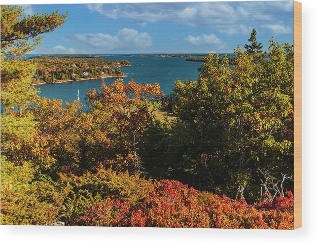 Acadia National Park Wood Print featuring the photograph A View From the Top by Paul Mangold