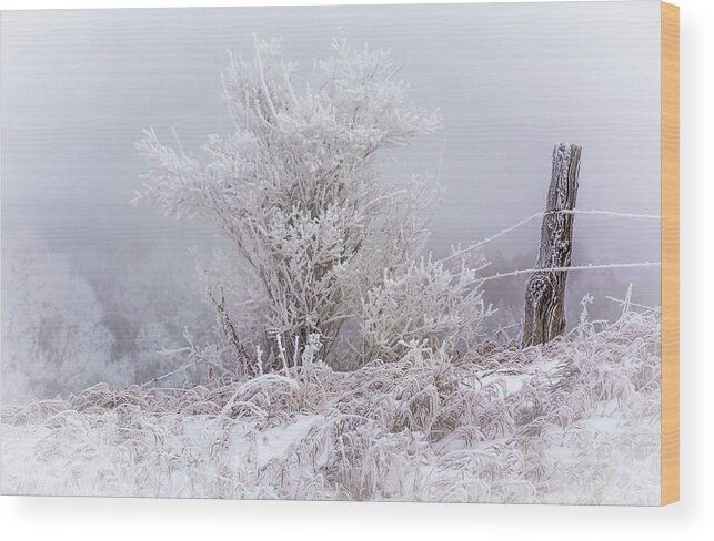 Winter Wood Print featuring the photograph A Winter's Post by Patti Raine