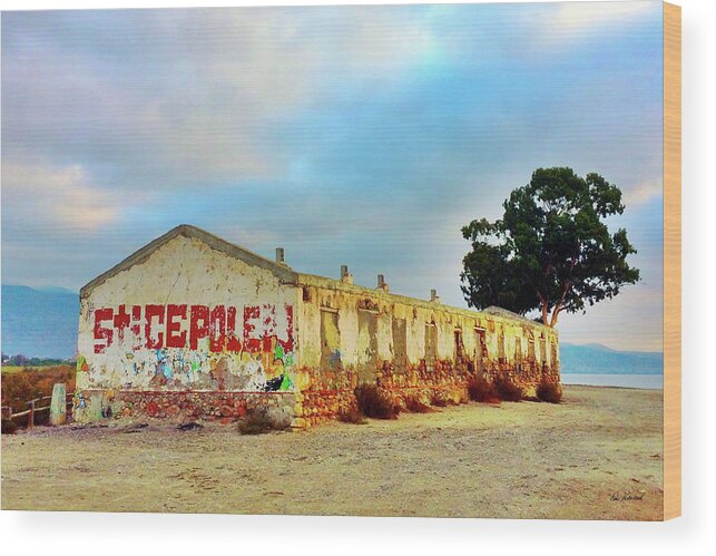 Abandoned Wood Print featuring the photograph Abandoned House in Andalusia, Spain by Peter Kraaibeek