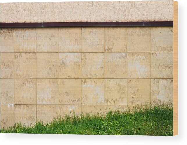 Grass Wood Print featuring the photograph Abstract urban brown tile wall by Wylius