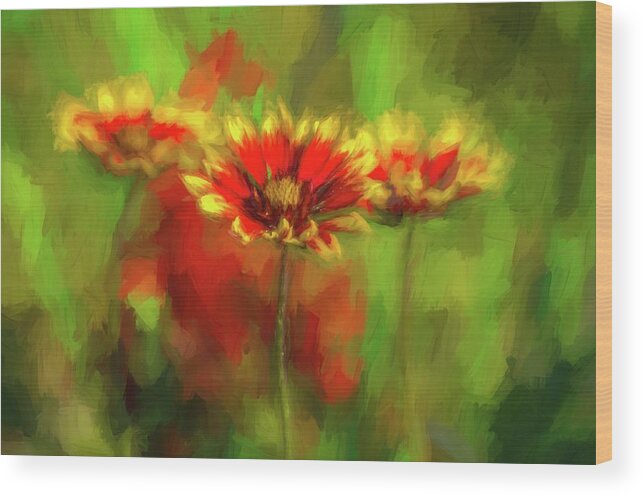 Nature Wood Print featuring the photograph Abstract Wildflowers by Linda Shannon Morgan