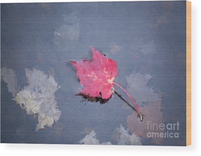 Life Wood Print featuring the digital art Afloat - Autumn Leaf by Rehna George