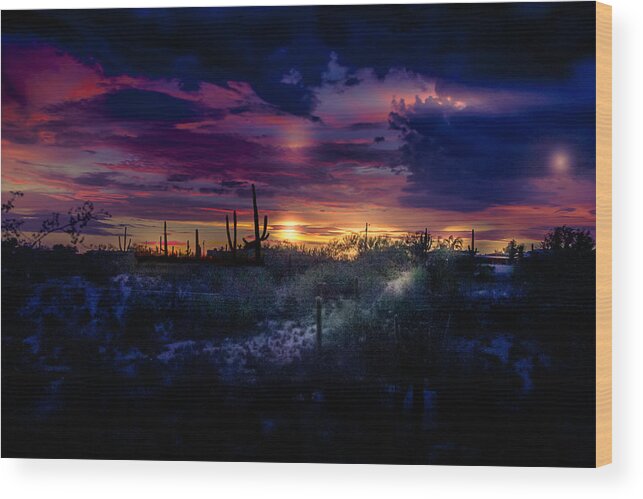 Tucson Wood Print featuring the photograph After the monsoon by Micah Offman