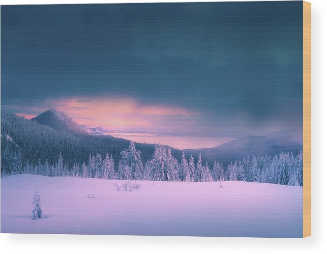 Winter Wood Print featuring the photograph After Winter Storm by Henry w Liu