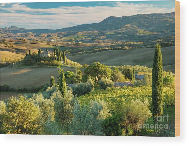 Tuscany Wood Print featuring the photograph Afternoon over Tuscany by Brian Jannsen