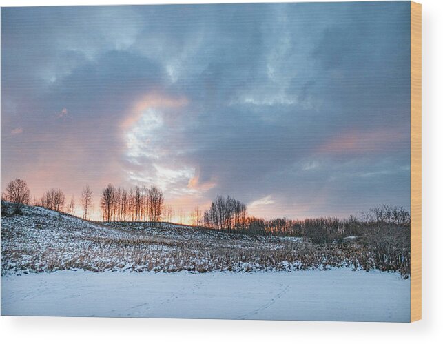 Winter Wood Print featuring the photograph Alberta winter dawn by Karen Rispin