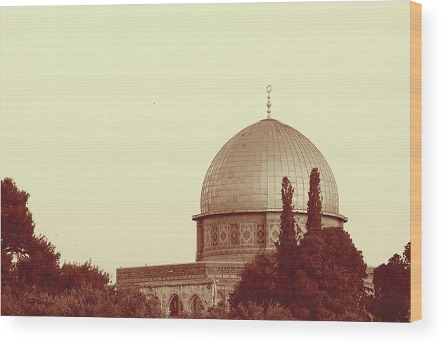 Albumen Print Of Amazing Mosques Around The World - 040 Wood Print featuring the painting Albumen Print of Amazing Mosques around the world - 040, Woodburytype by Artistic Rifki