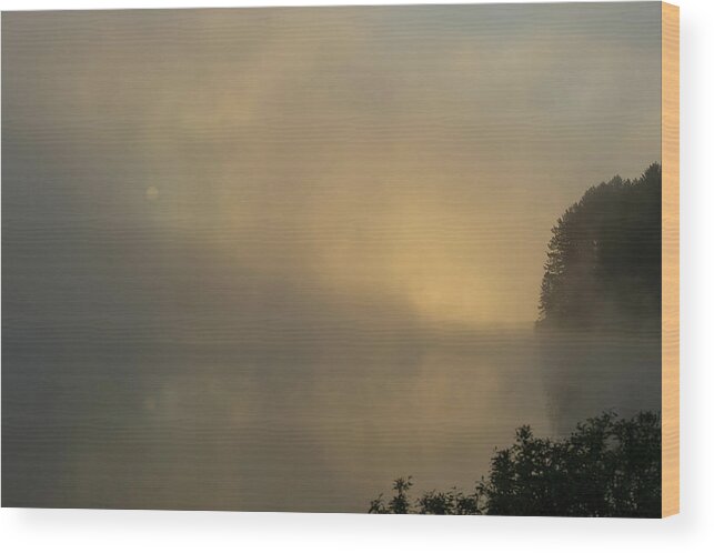 Algonquin Wood Print featuring the photograph Algonquin Morning by CR Courson