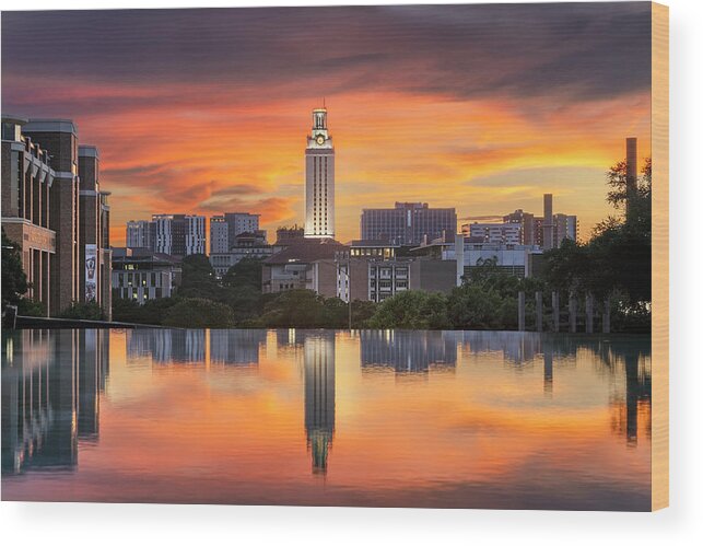 University Of Texas Wood Print featuring the photograph Alight On Campus by Slow Fuse Photography
