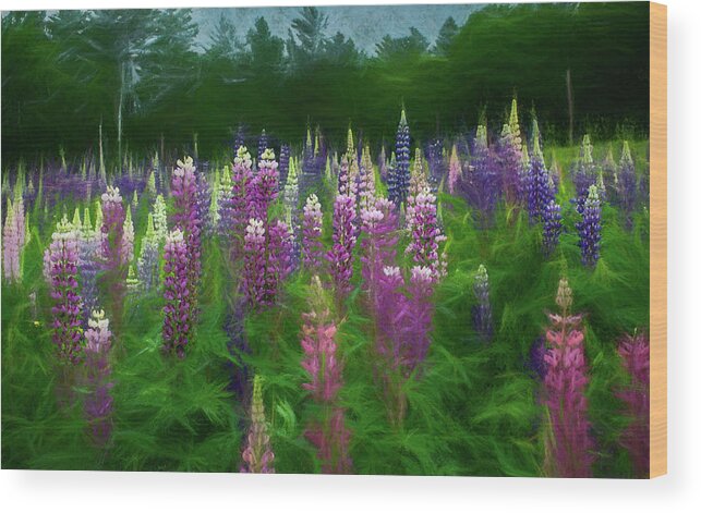  Wood Print featuring the photograph Alive in a Lupine Storm by Wayne King