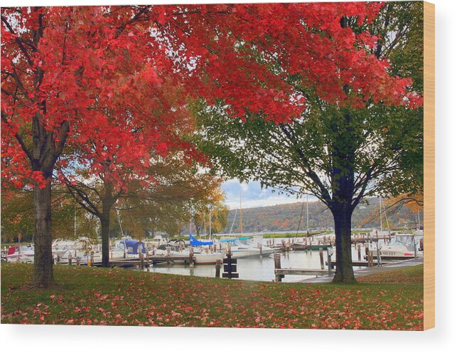Marina Wood Print featuring the photograph Allan H. Treman State Marine Park by Jessica Jenney