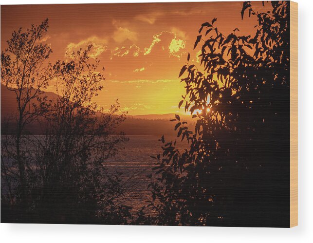 Summer Wood Print featuring the photograph Almanor Sunset with Willow and Alder by Jan Davies