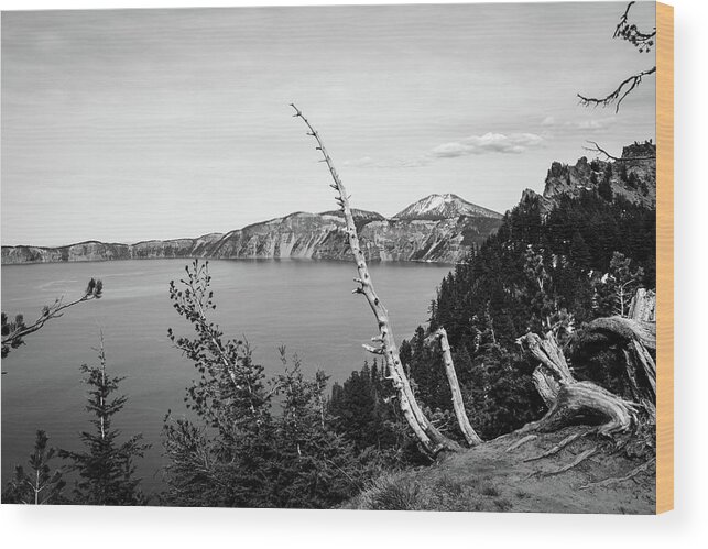 Crater Lake Wood Print featuring the photograph Along the caldera of Crater Lake by Aashish Vaidya