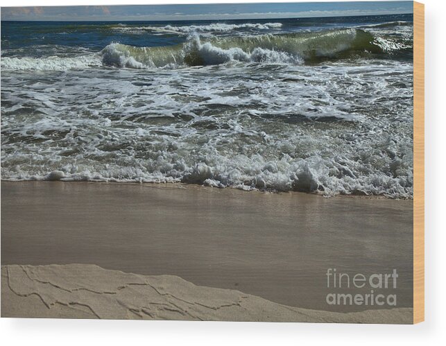 Florida Wood Print featuring the photograph Along The Shore At Panama City Beach by Adam Jewell