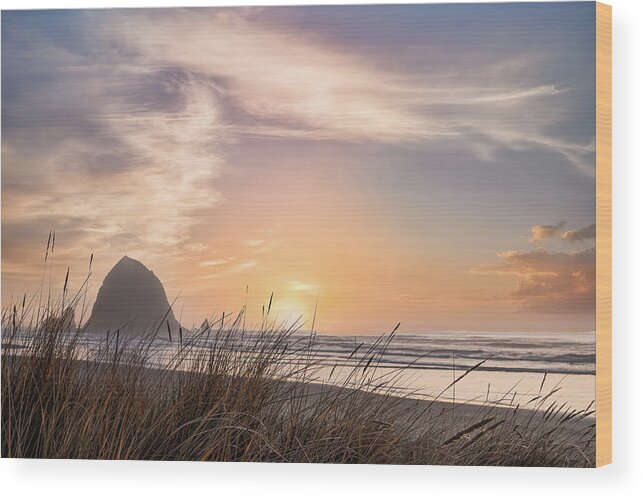 Beach Wood Print featuring the photograph Along the Shore at Sundown by Don Schwartz