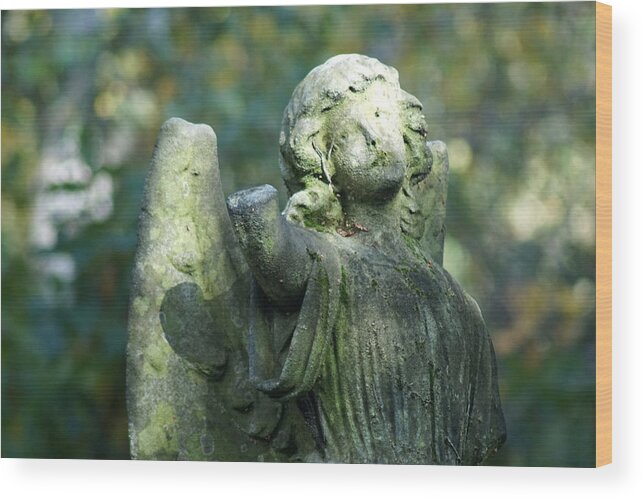 Cemetery Wood Print featuring the photograph Angel On A Cemetery by Jolly Van der Velden