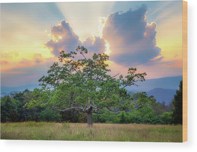 Sunrise Wood Print featuring the photograph Angel's Kiss by C Renee Martin