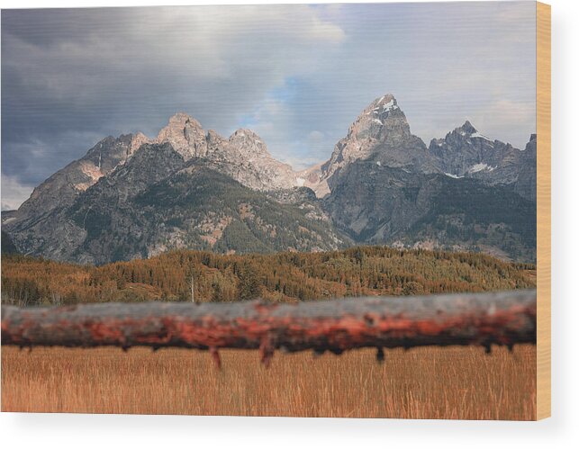 Mountain Wood Print featuring the photograph Another day in the Tetons by Go and Flow Photos