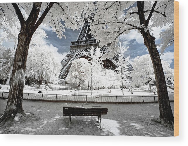 Paris Wood Print featuring the photograph Another Look - Between Two Trees by Philippe HUGONNARD