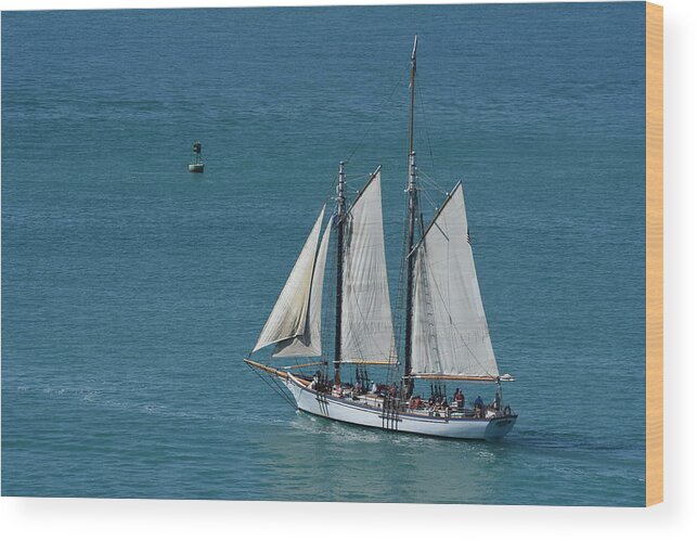 Clipper; Schooner; Tall Ship; Schooner Appledore Ii; Key West; Sailing; Water; Ocean Wood Print featuring the photograph Appledore II sailing the waters near Key West by Janice Adomeit