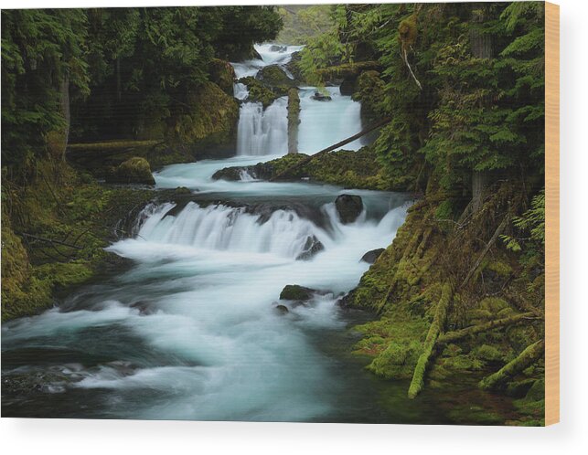  Wood Print featuring the photograph Aqualicious by Andrew Kumler