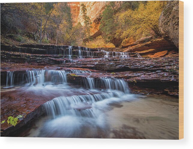 Arch Angel Falls Wood Print featuring the photograph Arch Angel Falls Zion by Wesley Aston