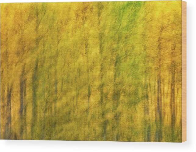 Aspen Wood Print featuring the photograph Aspen Abstract, No. Three by Denise Bush