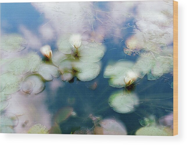 Impressionism Photos Wood Print featuring the photograph At Claude Monet's Water Garden 4 by Dubi Roman