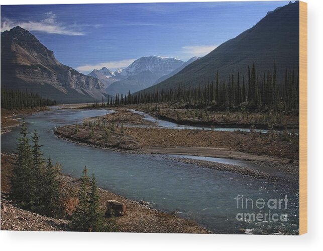 Athabasca River Wood Print featuring the photograph Athabasca River by Eva Lechner