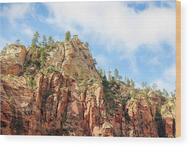 Landscape Wood Print featuring the photograph Atop the Canyon Wall by Robert Carter
