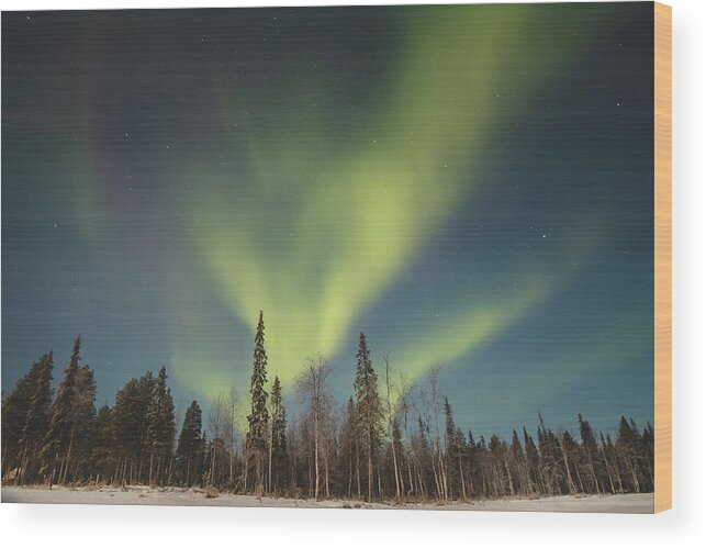 Aurora Borealis Wood Print featuring the photograph Dance of wild nature - Aurora borealis by Vaclav Sonnek