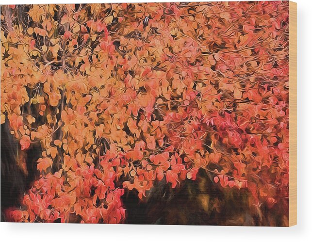 Autumn Color Wood Print featuring the digital art Autumn Abstract 1 by JC Findley