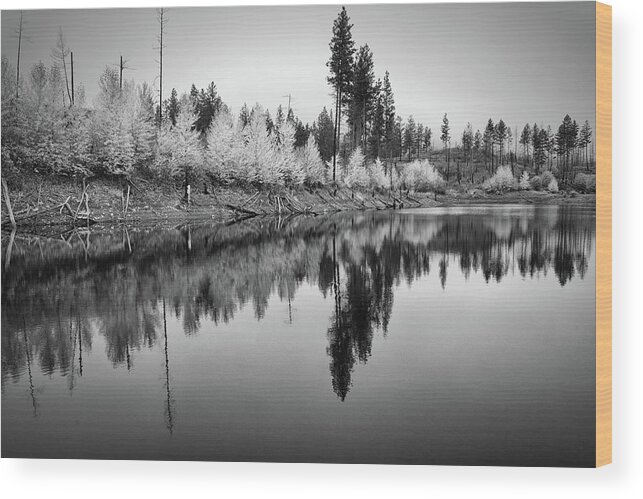 Landscape Wood Print featuring the photograph Autumn Arrow Black and White by Allan Van Gasbeck