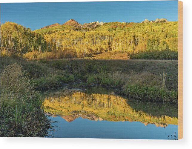 Fall Wood Print featuring the photograph Autumn Aspen Reflection by Ron Long Ltd Photography