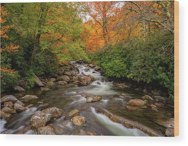 Autumn Wood Print featuring the photograph Autumn at West Prong by Kelly VanDellen