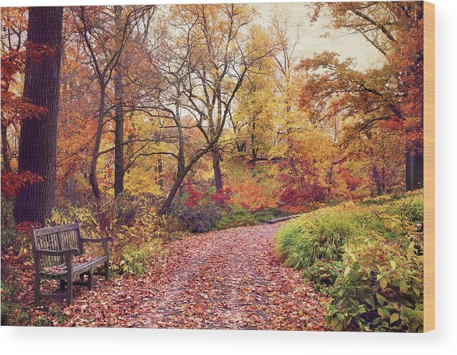 Autumn Wood Print featuring the photograph Autumn Azalea Garden by Jessica Jenney